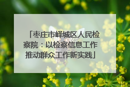 枣庄市峄城区人民检察院：以检察信息工作推动群众工作新实践