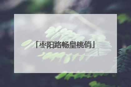 枣阳路畅皇桃俏