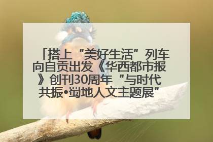 搭上“美好生活”列车向自贡出发《华西都市报》创刊30周年“与时代共振•蜀地人文主题展”5月30日开展丨美好生活有“盐”味