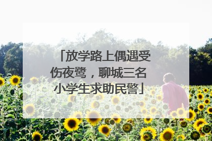 放学路上偶遇受伤夜鹭，聊城三名小学生求助民警