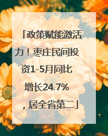政策赋能激活力！枣庄民间投资1-5月同比增长24.7%，居全省第二