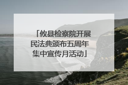 攸县检察院开展民法典颁布五周年集中宣传月活动