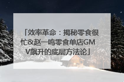 效率革命：揭秘零食很忙&赵一鸣零食单店GMV飙升的底层方法论