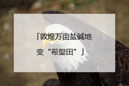 敦煌万亩盐碱地变“希望田”