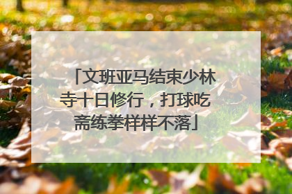 文班亚马结束少林寺十日修行，打球吃斋练拳样样不落