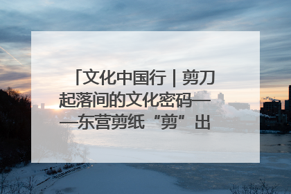 文化中国行｜剪刀起落间的文化密码——东营剪纸“剪”出非遗传承与现代生活的融合之道