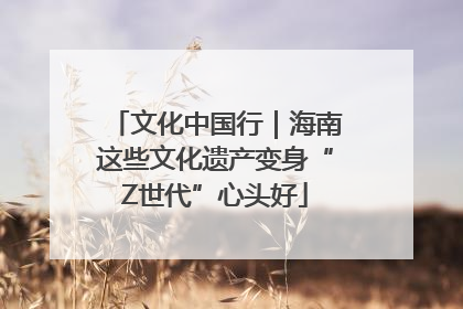 文化中国行｜海南这些文化遗产变身“Z世代”心头好