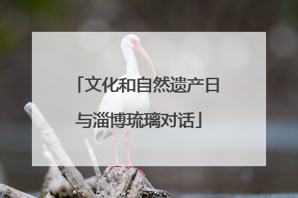 文化和自然遗产日与淄博琉璃对话