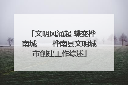 文明风涌起 蝶变桦南城——桦南县文明城市创建工作综述