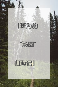 斑海豹“汤圆”归海记