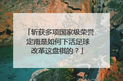 斩获多项国家级荣誉 定南是如何下活足球改革这盘棋的？