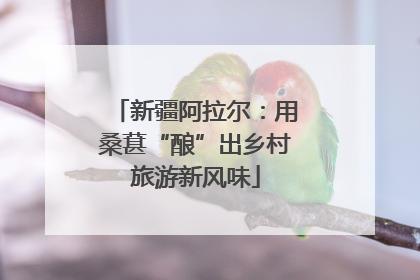 新疆阿拉尔：用桑葚“酿”出乡村旅游新风味