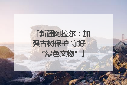 新疆阿拉尔：加强古树保护 守好“绿色文物”