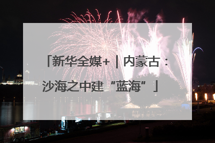 新华全媒+｜内蒙古：沙海之中建“蓝海”