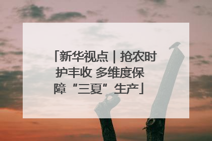 新华视点｜抢农时 护丰收 多维度保障“三夏”生产