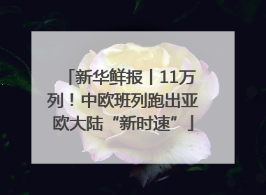 新华鲜报丨11万列！中欧班列跑出亚欧大陆“新时速”