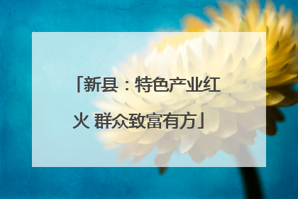 新县：特色产业红火 群众致富有方