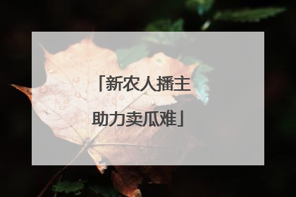 新农人播主 助力卖瓜难