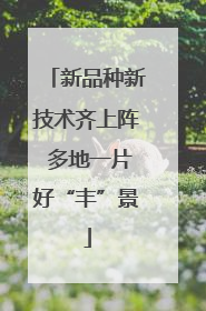 新品种新技术齐上阵 多地一片好“丰”景