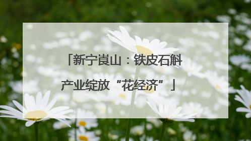 新宁崀山：铁皮石斛产业绽放“花经济”
