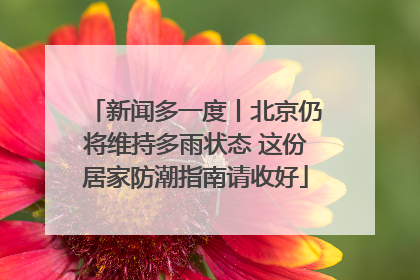 新闻多一度丨北京仍将维持多雨状态 这份居家防潮指南请收好