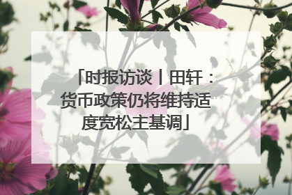 时报访谈丨田轩：货币政策仍将维持适度宽松主基调