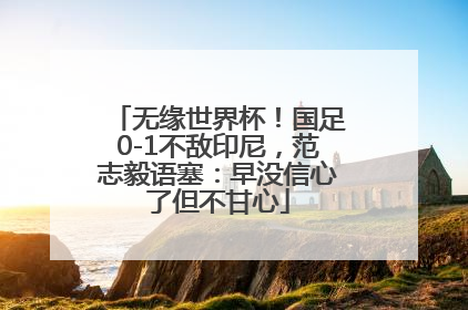 无缘世界杯！国足0-1不敌印尼，范志毅语塞：早没信心了但不甘心