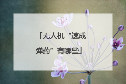 无人机“速成弹药”有哪些