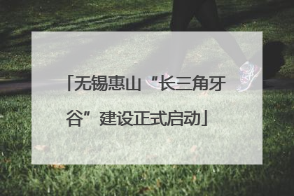 无锡惠山“长三角牙谷”建设正式启动