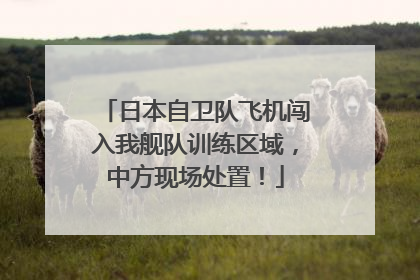 日本自卫队飞机闯入我舰队训练区域，中方现场处置！