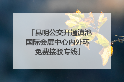 昆明公交开通滇池国际会展中心内外环免费接驳专线