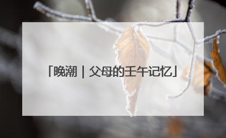 晚潮｜父母的壬午记忆