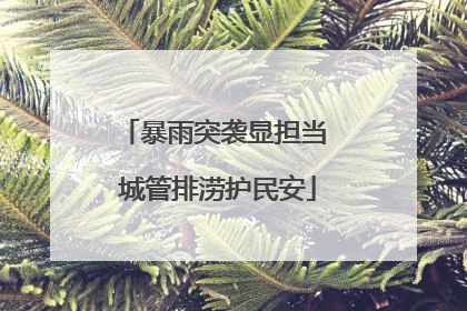 暴雨突袭显担当 城管排涝护民安