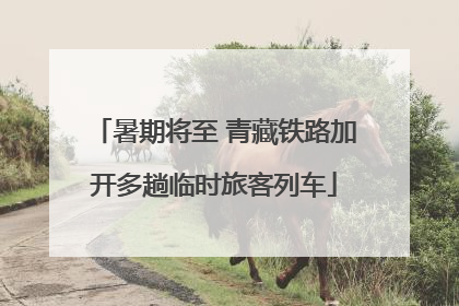 暑期将至 青藏铁路加开多趟临时旅客列车