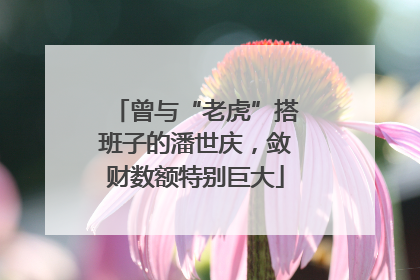 曾与“老虎”搭班子的潘世庆，敛财数额特别巨大