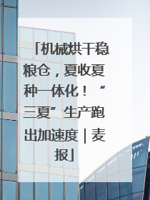 机械烘干稳粮仓，夏收夏种一体化！“三夏”生产跑出加速度｜麦报