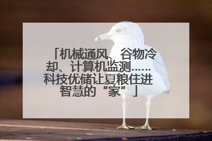 机械通风、谷物冷却、计算机监测……科技优储让夏粮住进智慧的“家”