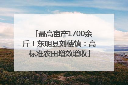 最高亩产1700余斤！东明县刘楼镇：高标准农田增效增收