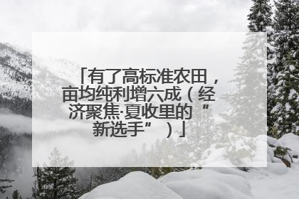 有了高标准农田，亩均纯利增六成（经济聚焦·夏收里的“新选手”）