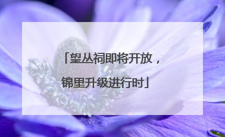 望丛祠即将开放，锦里升级进行时
