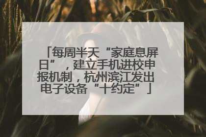 每周半天“家庭息屏日”，建立手机进校申报机制，杭州滨江发出电子设备“十约定”