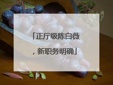正厅级陈白薇，新职务明确