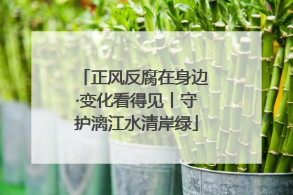 正风反腐在身边·变化看得见丨守护漓江水清岸绿