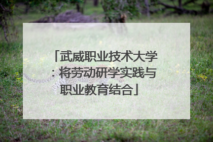武威职业技术大学：将劳动研学实践与职业教育结合