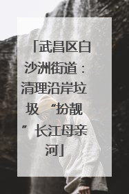 武昌区白沙洲街道：清理沿岸垃圾 “扮靓”长江母亲河