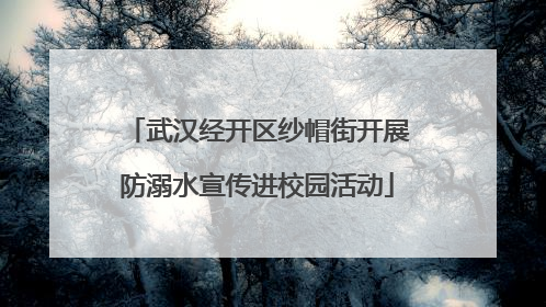 武汉经开区纱帽街开展防溺水宣传进校园活动