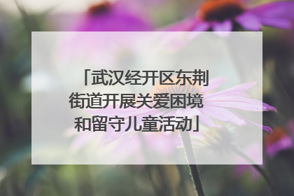 武汉经开区东荆街道开展关爱困境和留守儿童活动