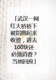 武汉一网红大桥桥下被指圈起来收费，进去100块还必须消费？当地回应