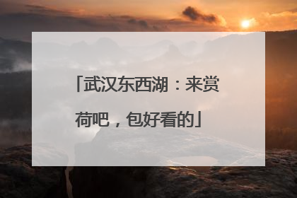 武汉东西湖：来赏荷吧，包好看的