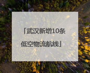 武汉新增10条低空物流航线